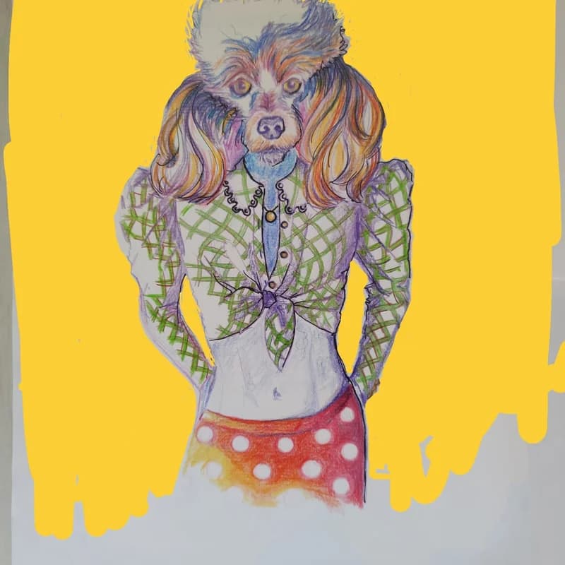 La Señorita Caniche — caniche vestida, lápiz de color y fondo acrílico amarillo