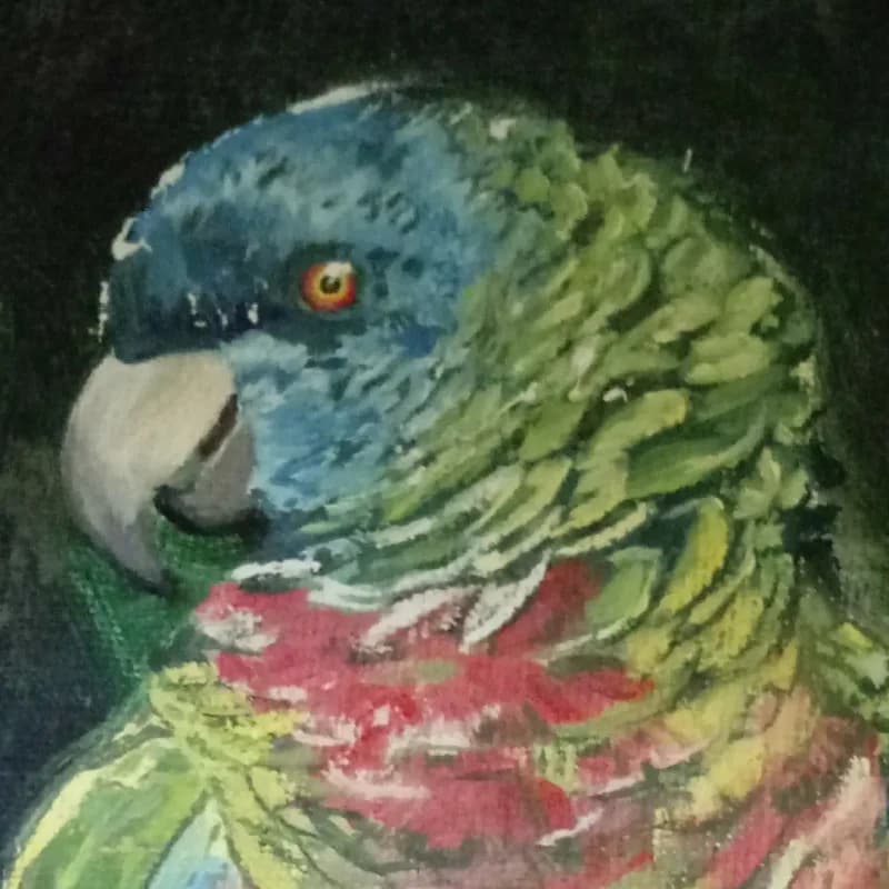 Retrato de loro — acuarela sobre fondo oscuro, plumaje multicolor