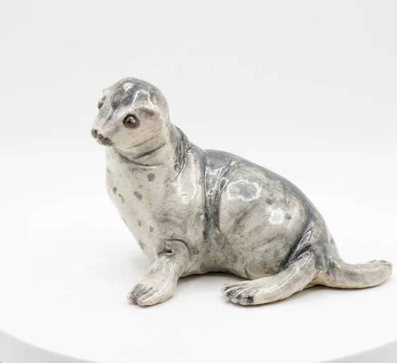 Cría de foca